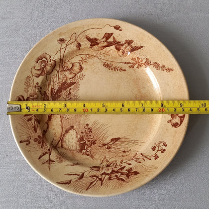 Antique ironstone plates with bird patterns by Jules Veillard Bordeaux, decorative sepia transferware, French shabby chic plates