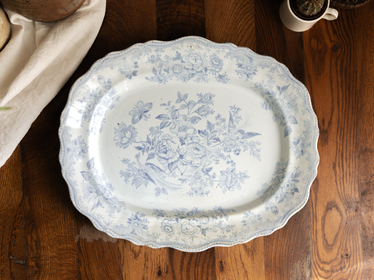 LARGE Antique White Ironstone Oval Plate with Pale Blue Asiatic Pheasants Design