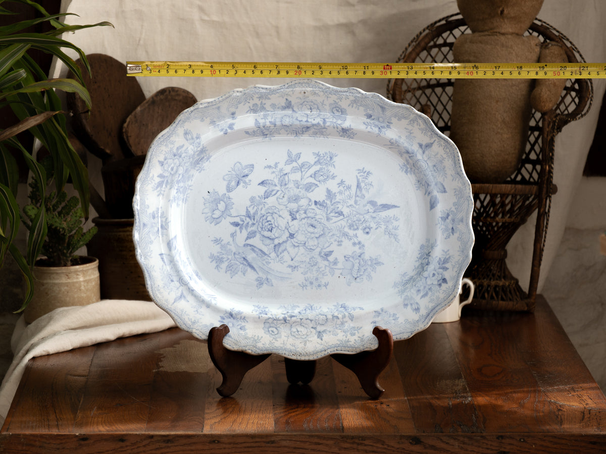 Elegant antique white ironstone platter with pale blue Asiatic Pheasants floral design. A large antique plate perfect for farmhouse kitchens, cottage decor, or blue and white china collections.