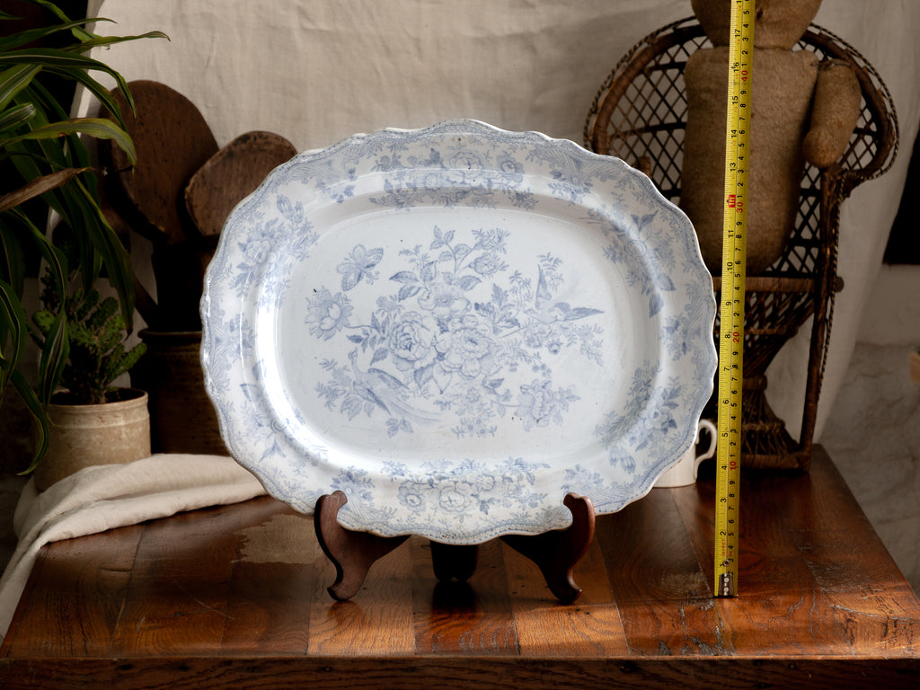 Elegant antique white ironstone platter with pale blue Asiatic Pheasants floral design. A large antique plate perfect for farmhouse kitchens, cottage decor, or blue and white china collections.