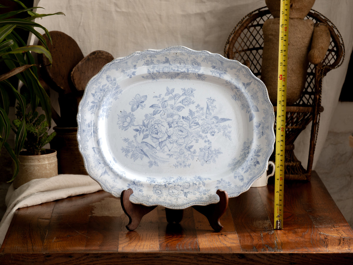 Elegant antique white ironstone platter with pale blue Asiatic Pheasants floral design. A large antique plate perfect for farmhouse kitchens, cottage decor, or blue and white china collections.