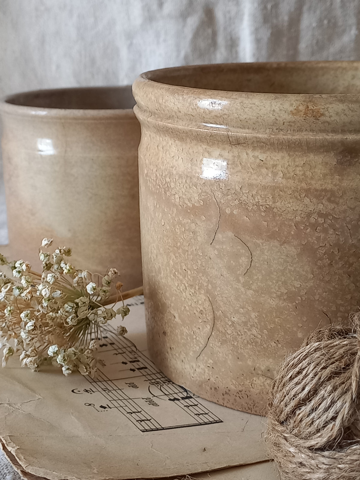Paire de pots à confiture ou mijoteuses anciennes en faïence française