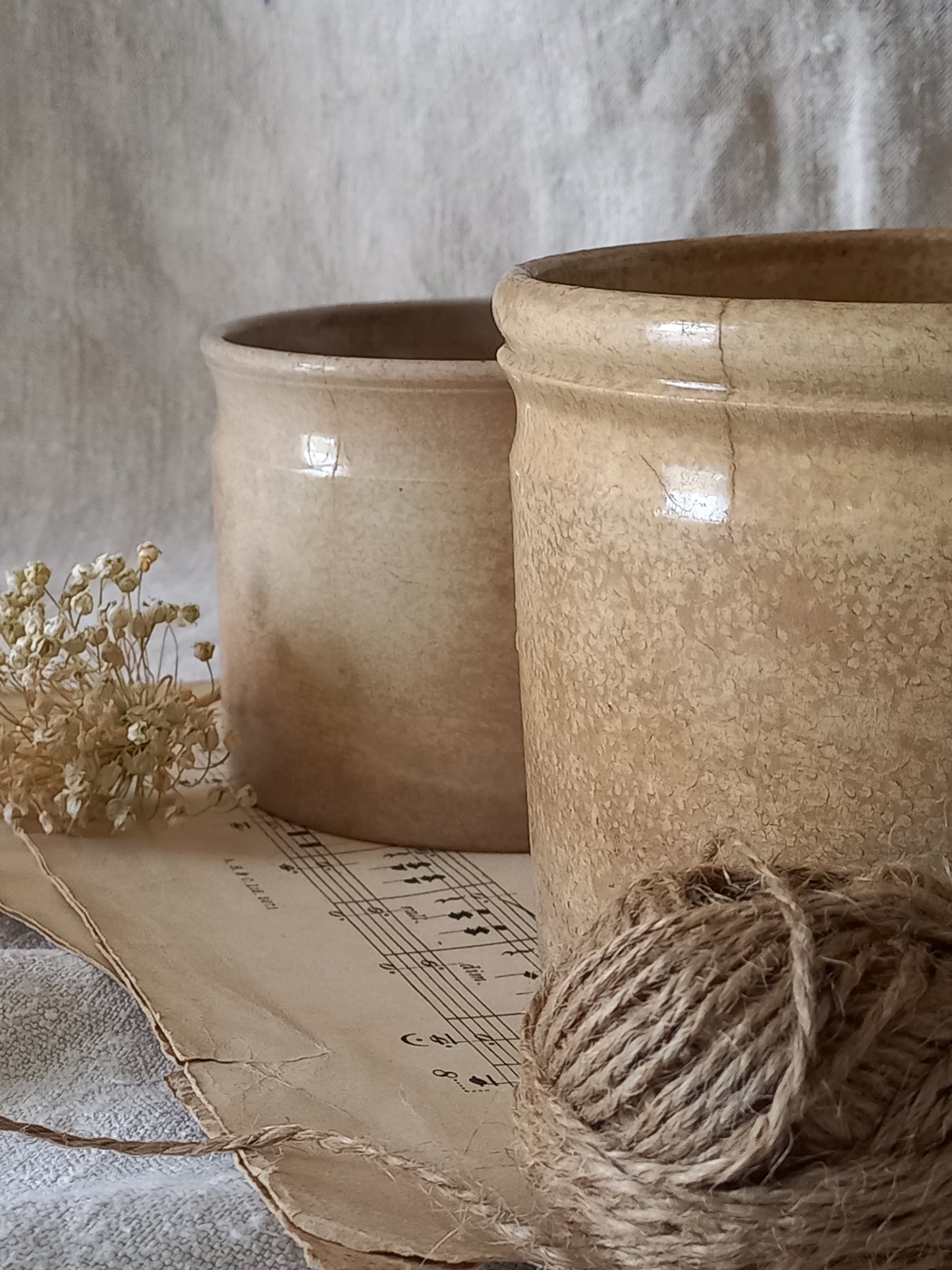 Pair of French Antique Ironstone Jam Pots Or Crock Pots