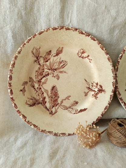 antique ironstone plate with floral sepia patterns on a textured fabric. background