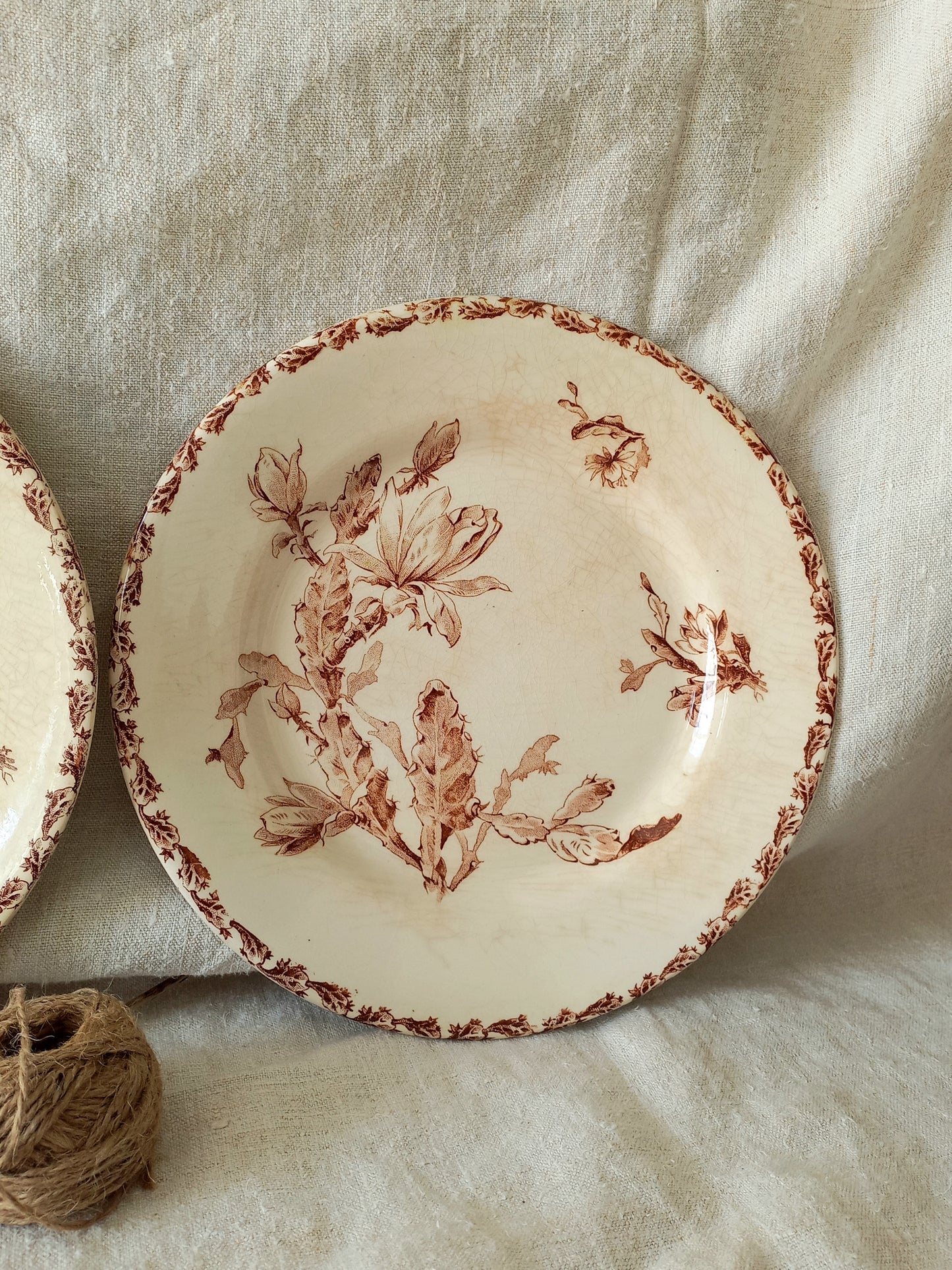 Two antique ironstone plates with floral sepia patterns on a textured fabric background
