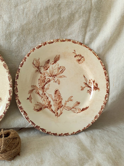 Two antique ironstone plates with floral sepia patterns on a textured fabric background