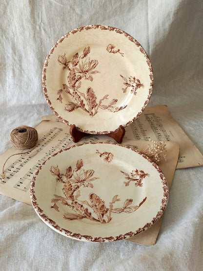 Two antique ironstone plates with floral sepia patterns on a textured fabric background