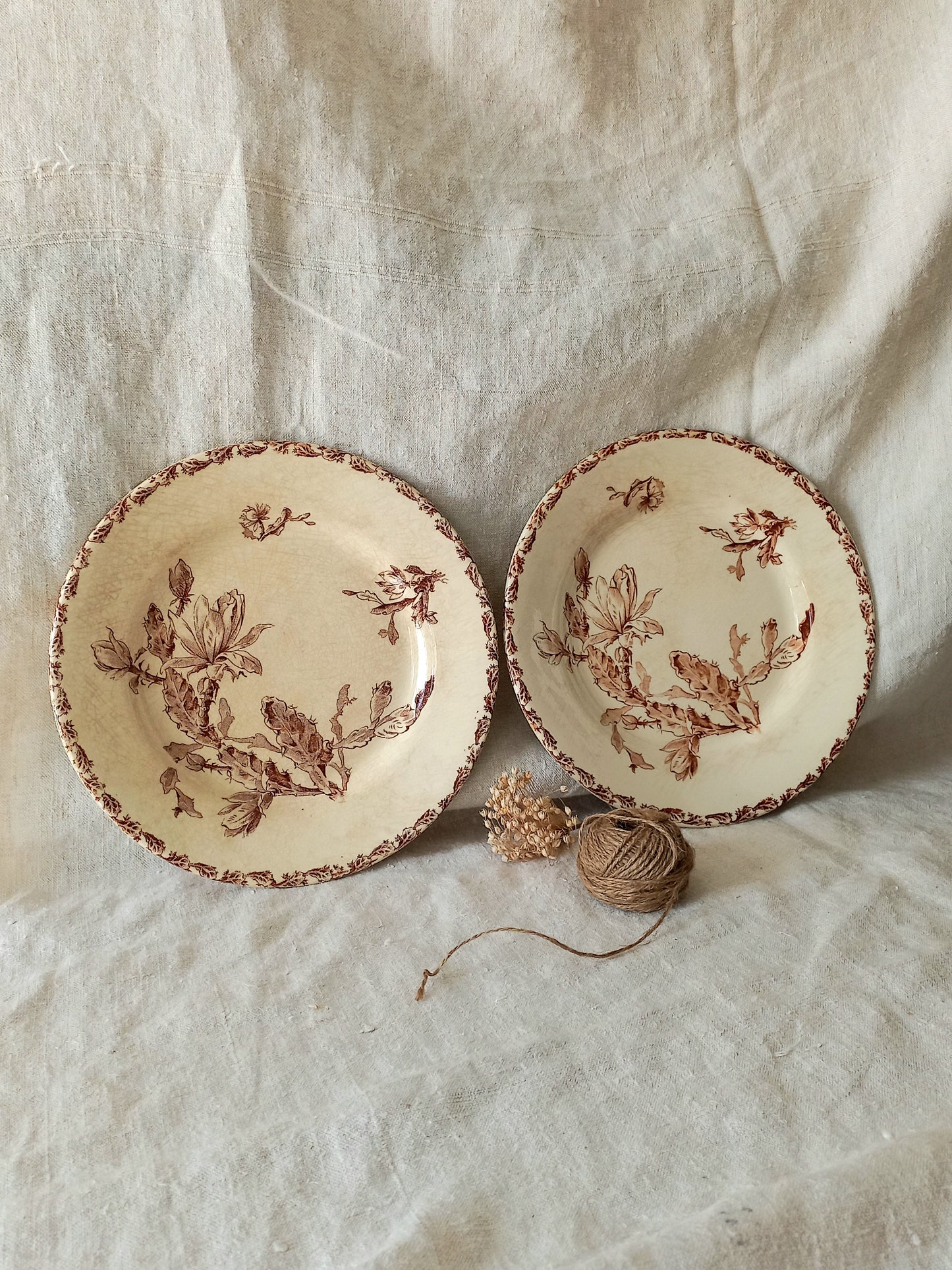 Two antique ironstone plates with floral sepia patterns on a textured fabric background