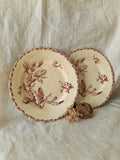 Two antique ironstone plates with floral sepia patterns on a textured fabric background