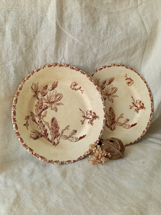 Two antique ironstone plates with floral sepia patterns on a textured fabric background