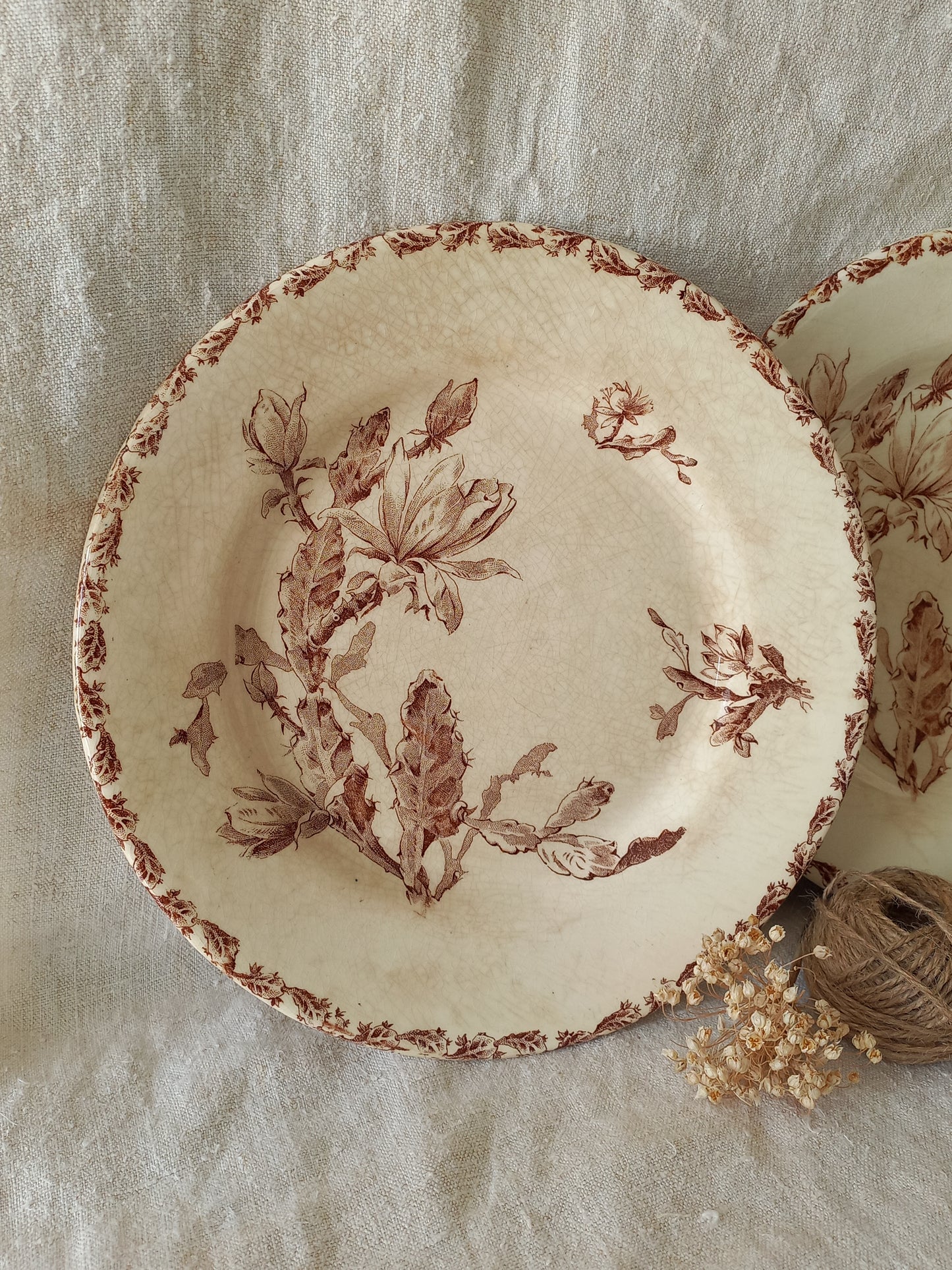 Two antique ironstone plates with floral sepia patterns on a textured fabric background
