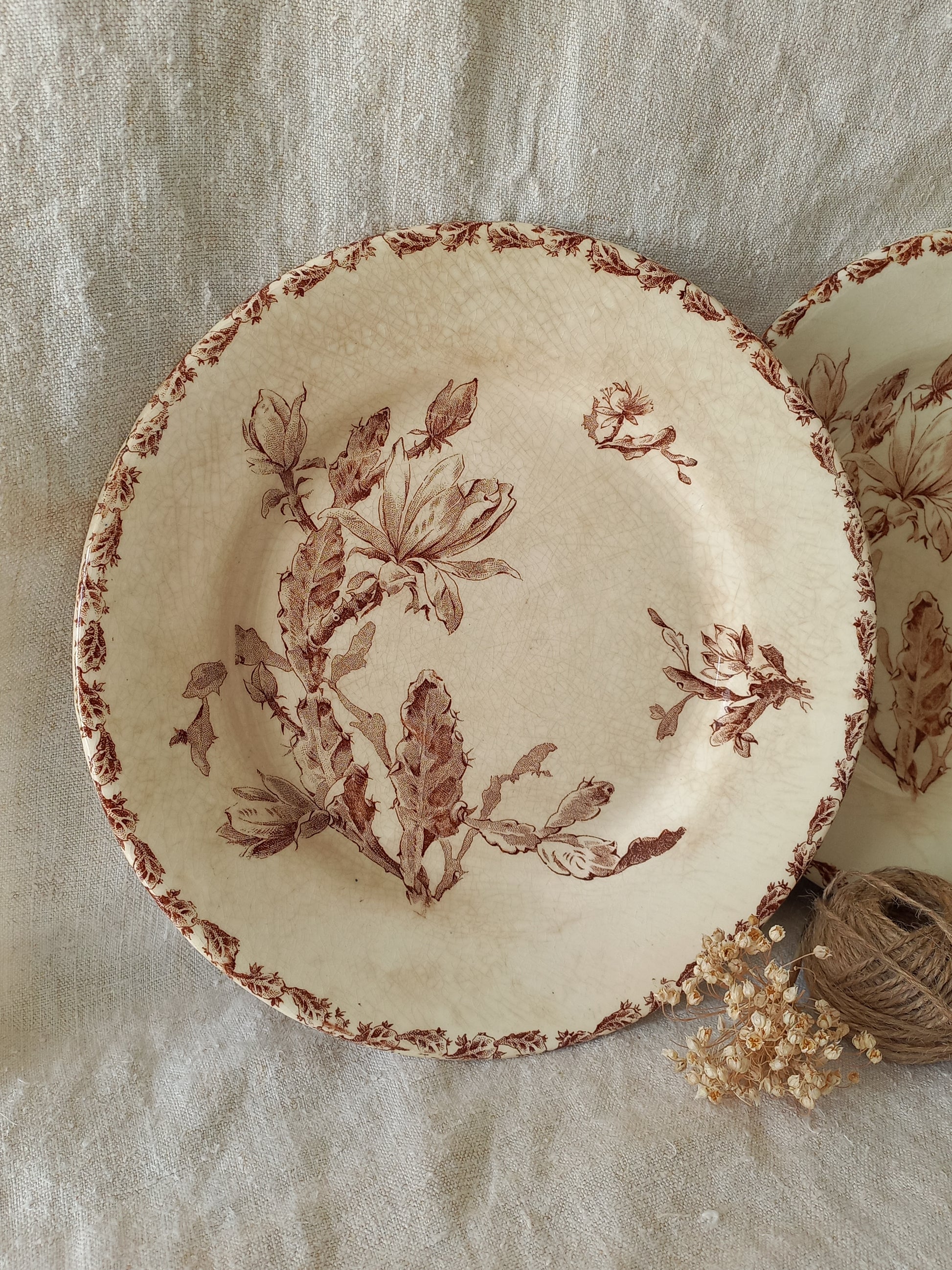 Two antique ironstone plates with floral sepia patterns on a textured fabric background