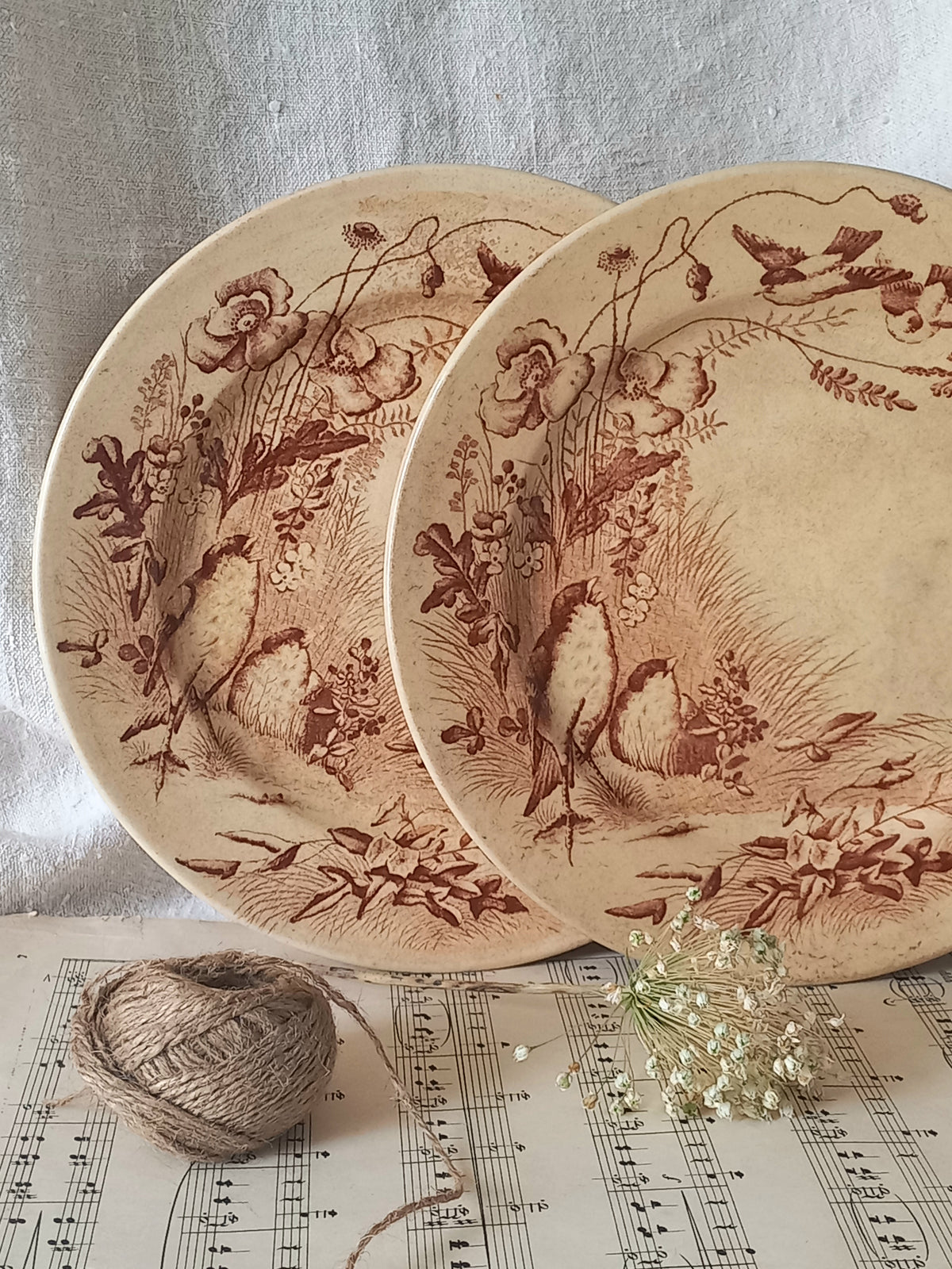 Two decorative plates with nature-themed designs on a sheet of music.