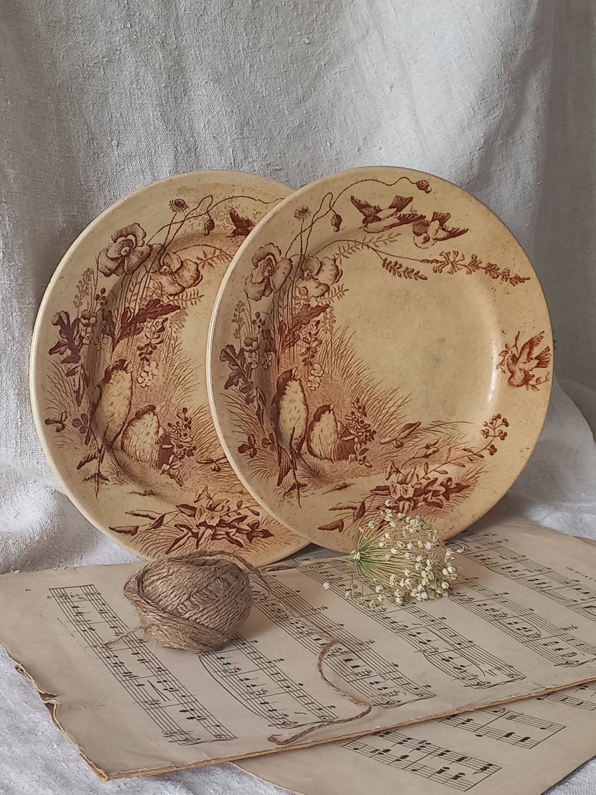 Two ceramic antique plates with floral and bird patterns on a surface with sheet music underneath.
