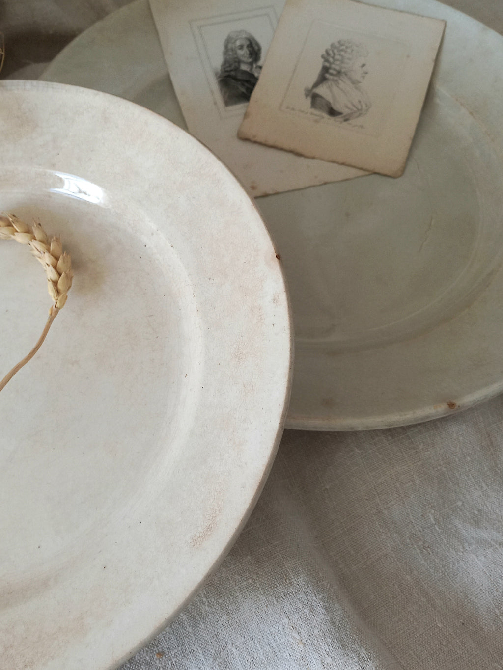 Two antique plates with a dried plant and antique portrait on a textured surface