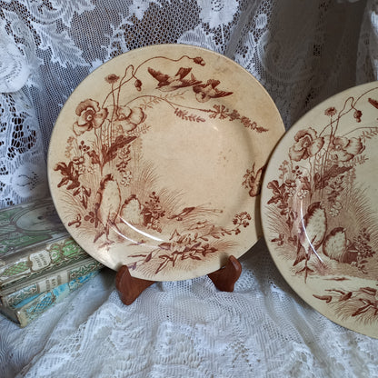 Tea stained ironstone plates with sepia bird patterns by Jules Veillard Bordeaux, French antique shabby chic plates