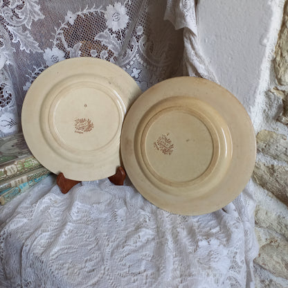 Tea stained ironstone plates with sepia bird patterns by Jules Veillard Bordeaux, French antique shabby chic plates