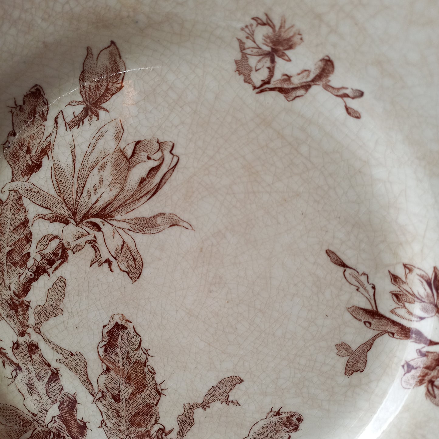 Creamy white ironstone plates with floral sepia pattern, antique time worn plates, shabby chic country home decor