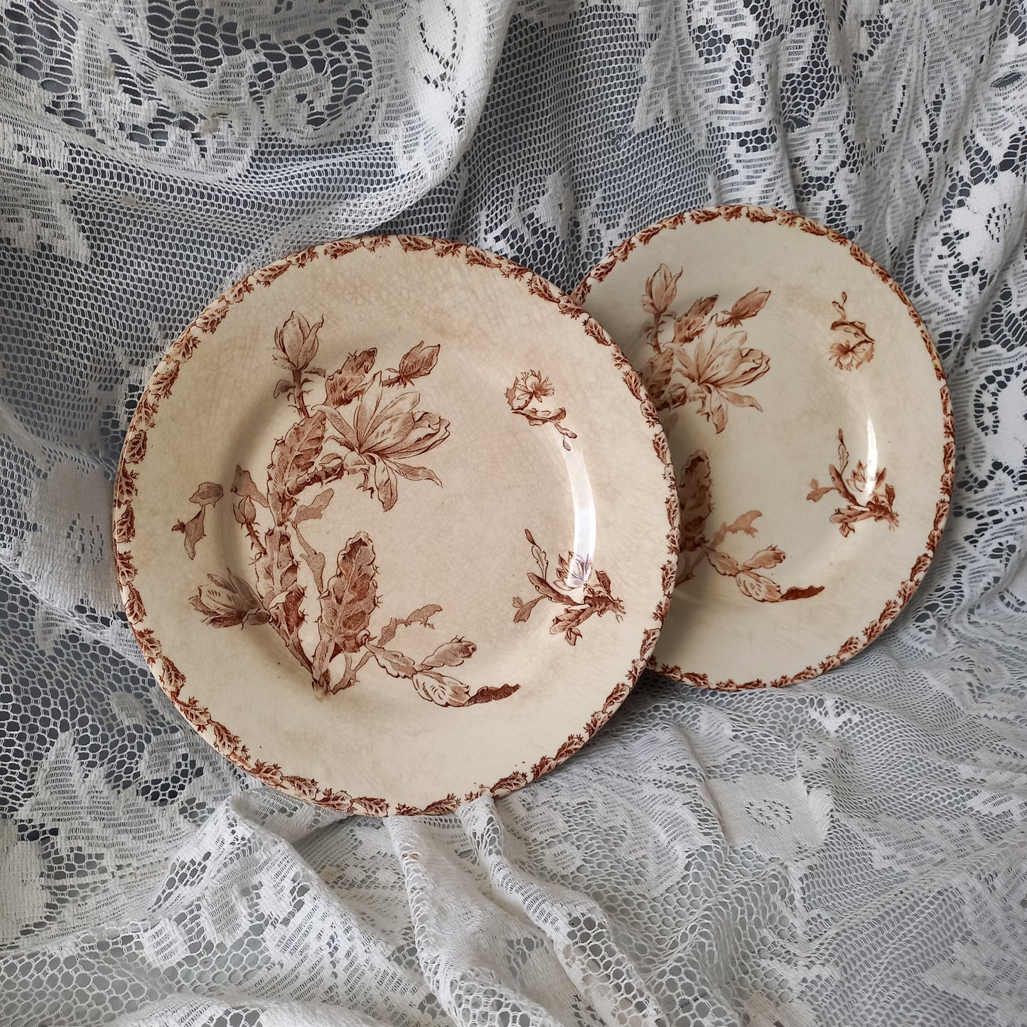 Creamy white ironstone plates with floral sepia pattern, antique time worn plates, shabby chic country home decor