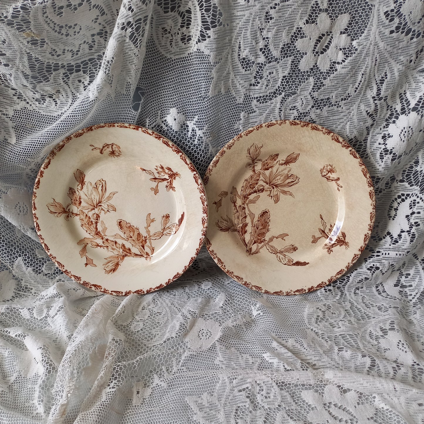 Creamy white ironstone plates with floral sepia pattern, antique time worn plates, shabby chic country home decor