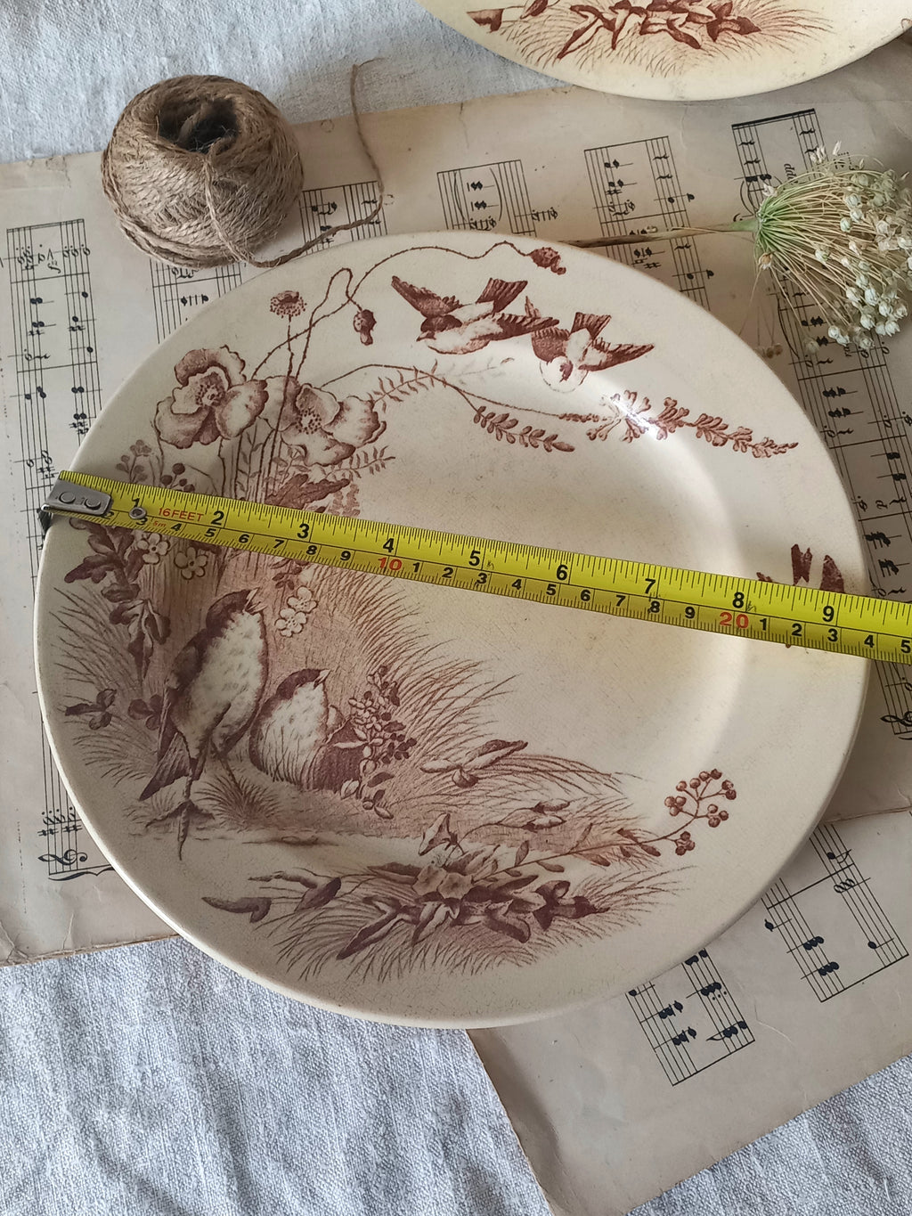Decorative plate with nature-themed design on a surface with music sheet paper.