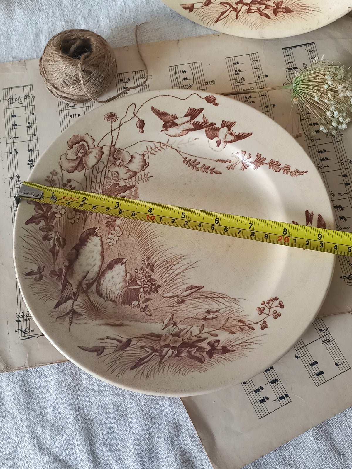 Decorative plate with nature-themed design on a surface with music sheet paper.