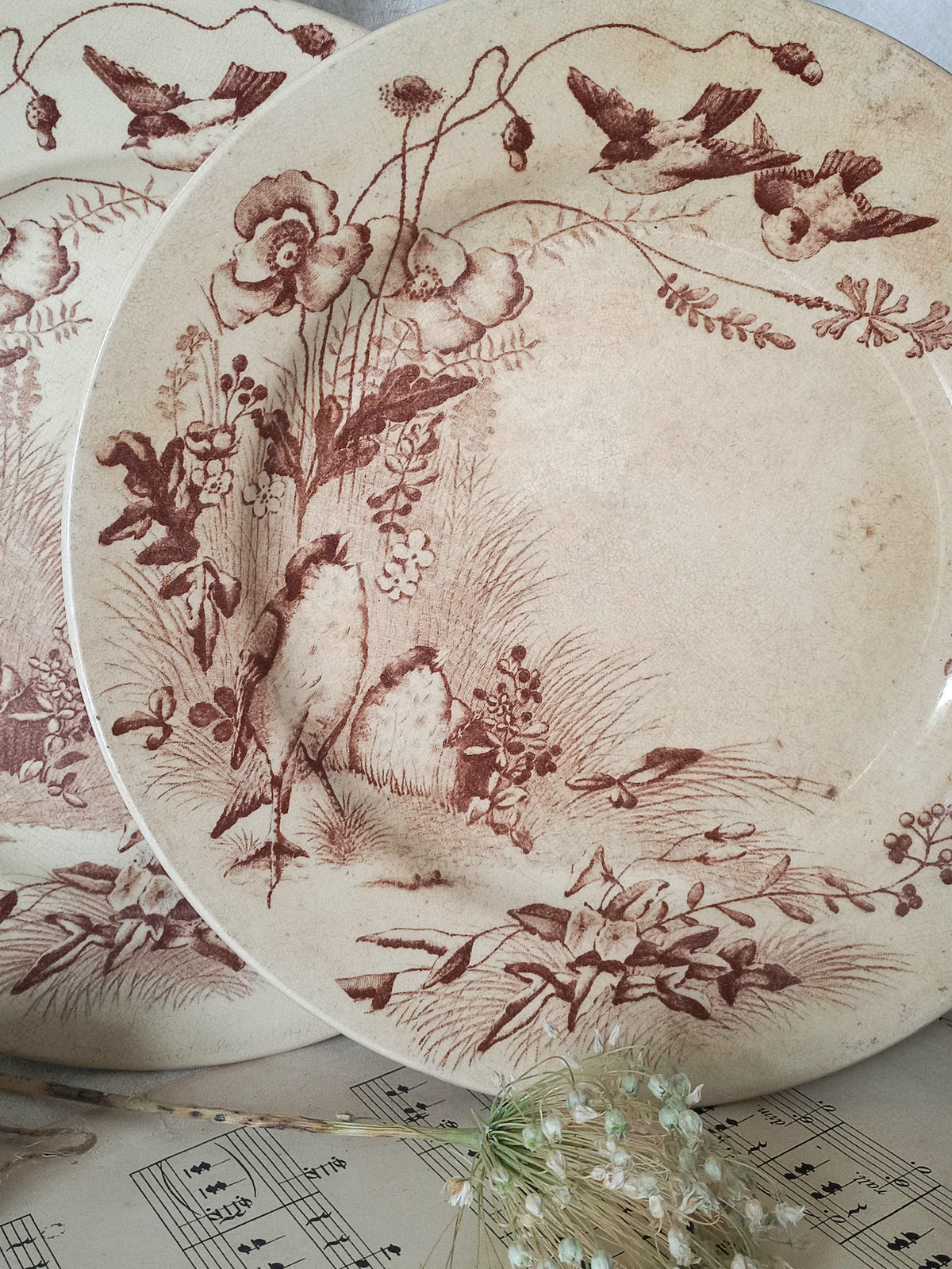Decorative plates with floral and bird patterns on a sheet of music.