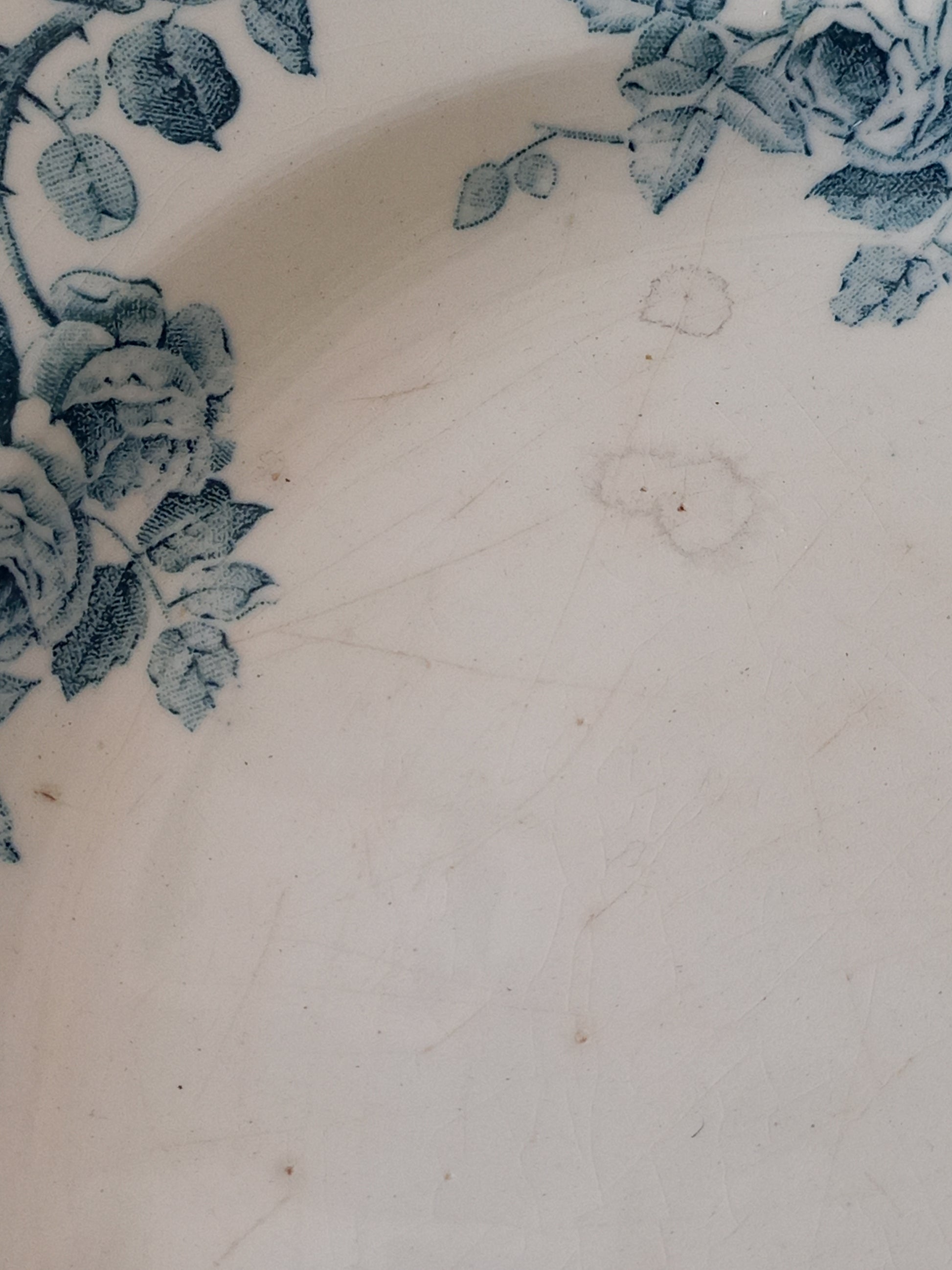 Close-up of a white ceramic plate or dish featuring a blue floral rose pattern along the rim.