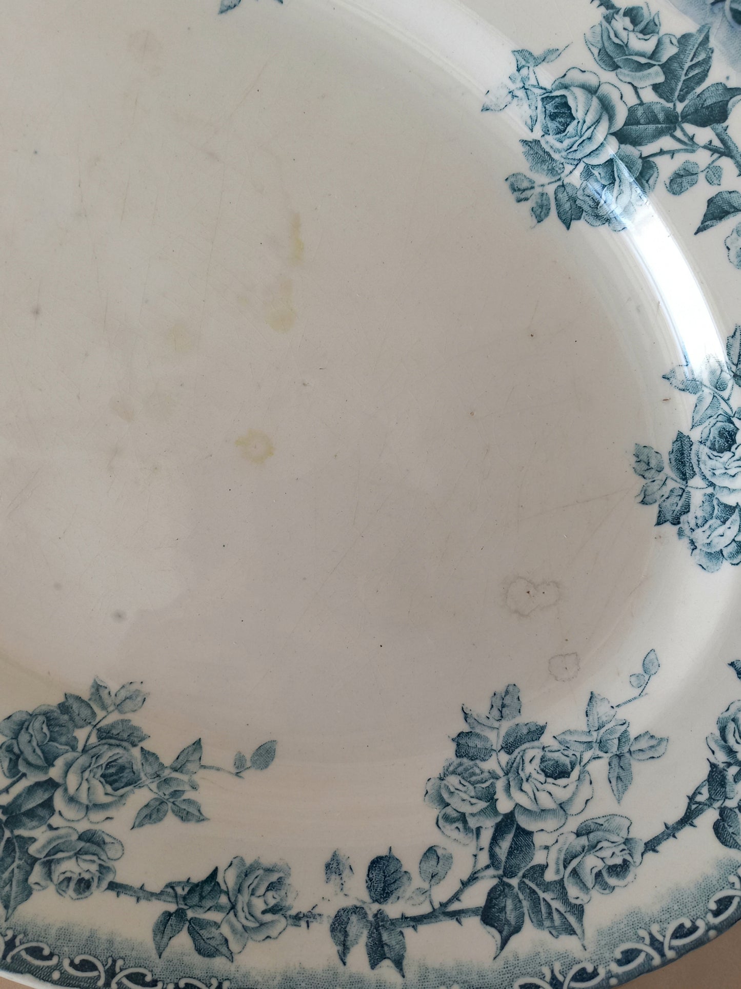 Close-up of a ceramic plate with a blue rose floral border pattern on an off-white background.