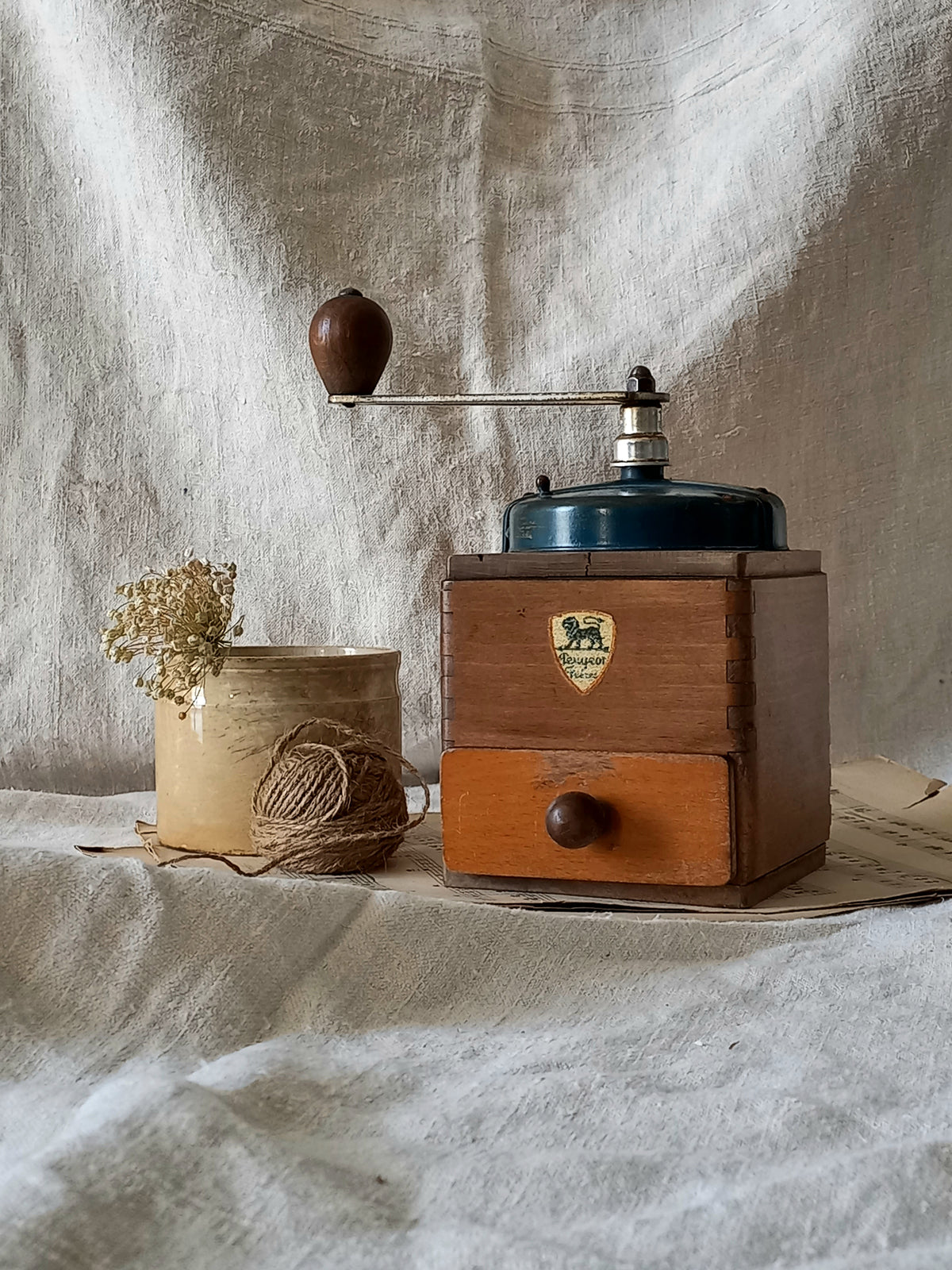 Vintage wooden coffee grinder on a textured surface with a plant in the background