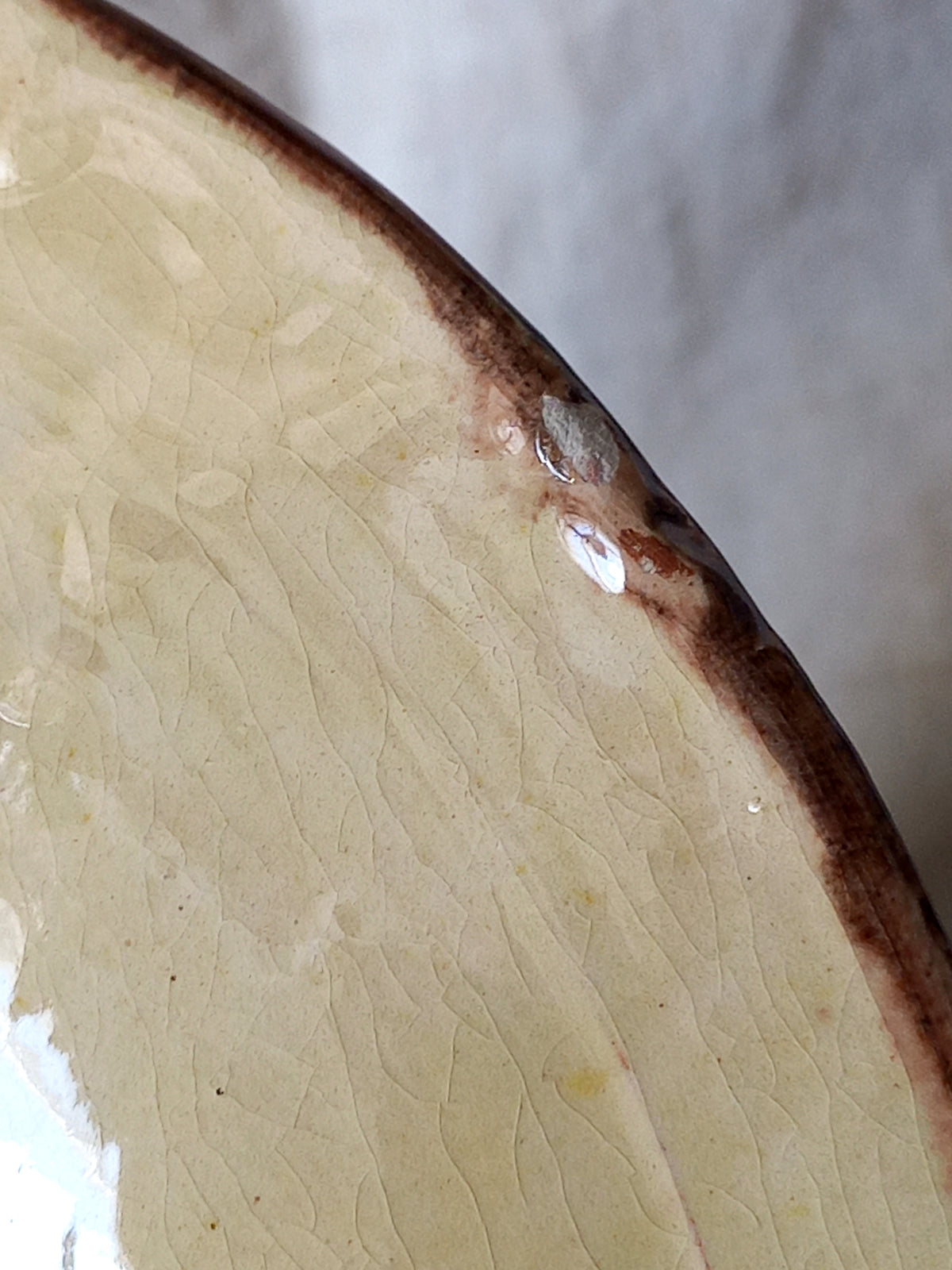 Close-up of a ceramic plate or dish showing a glossy cream-colored interior with a dark brown rim and a small chip on the edge.