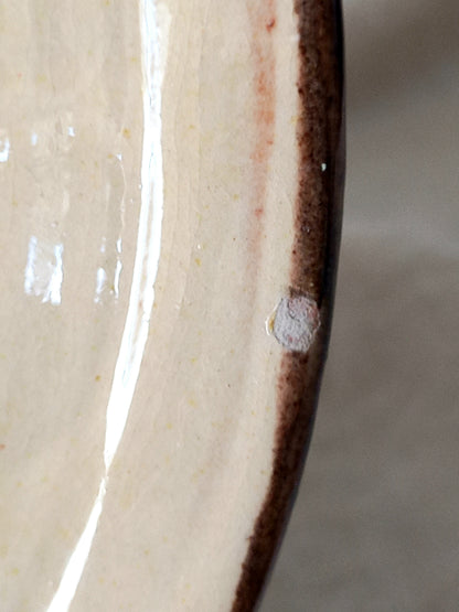Close-up of a ceramic plate or dish edge showing a glossy off-white glaze with a dark brown rim and a small light gray circular defect.